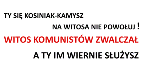 pic_kosiniak.png